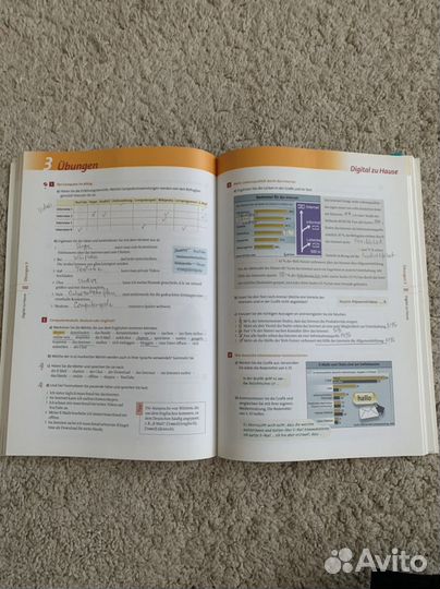 Sicher B2.1 и stidio d B2.1