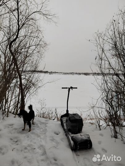 Прокат, аренда снегохода