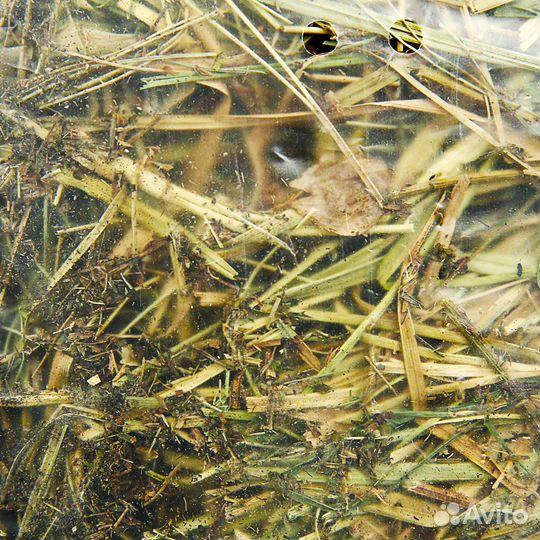 Средства гигиены для грызунов