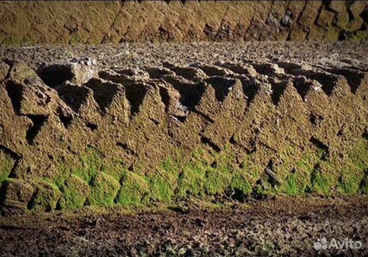 Торф низинный и верховой