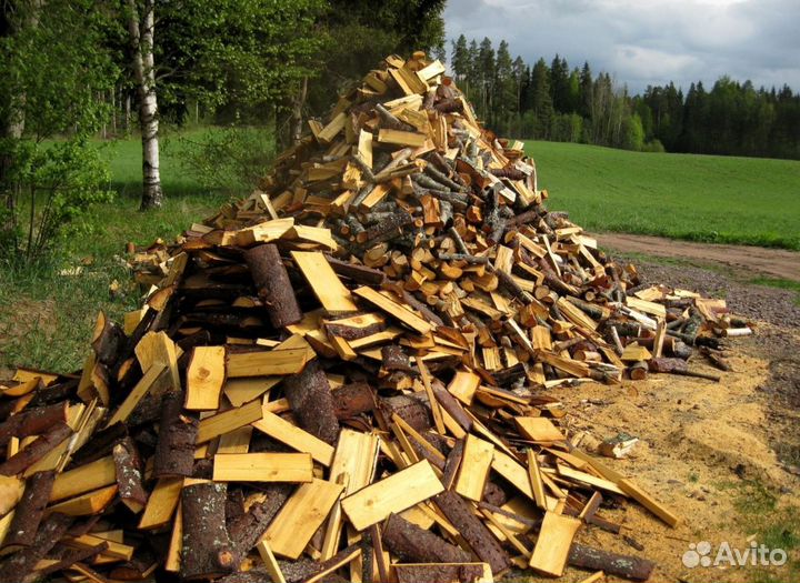 Дрова образцовые