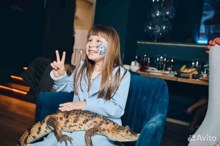 Фото и видеосъемка