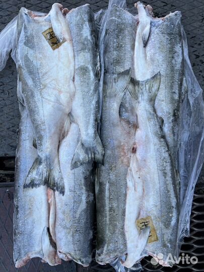 Рыба нерка/горбуша/кета/кижуч