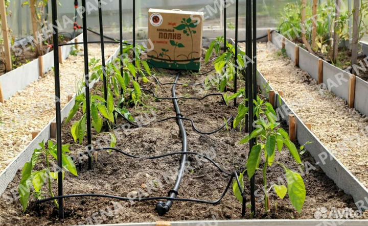 Капельный полив жук 60