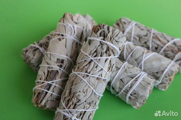 Шалфей Белый от 150шт опт для Вайлберис