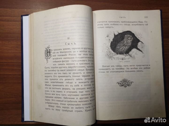 Богданов М.Н. Мирские захребетники