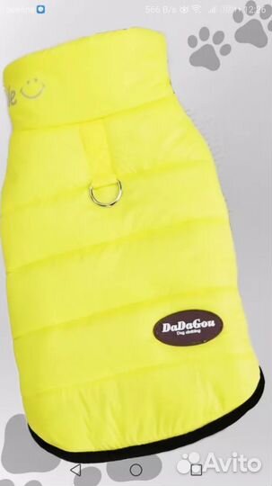 Одежда для собак
