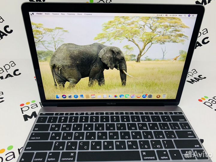 Apple Macbook 12 2017 разбор