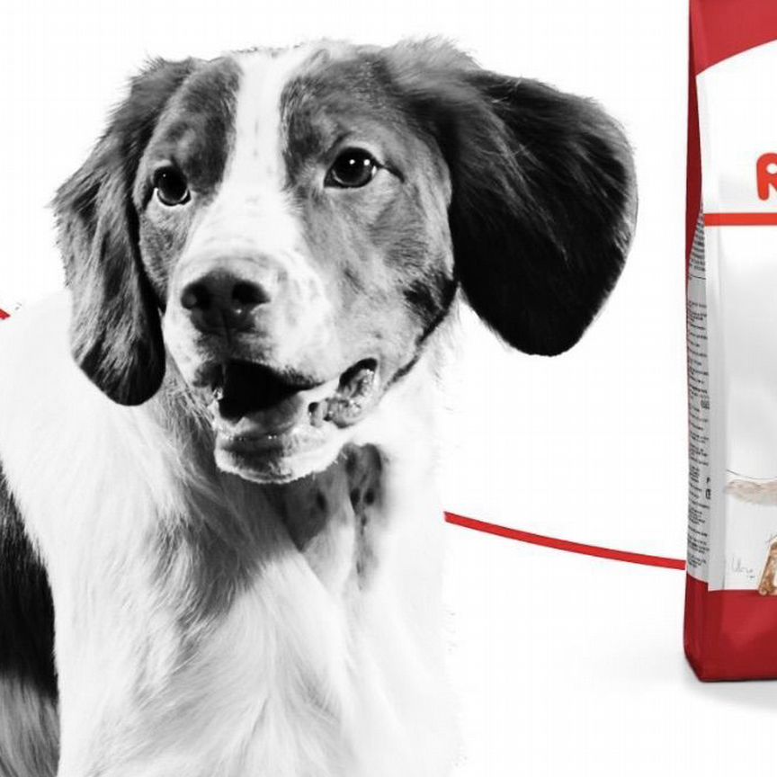 Корм для собак royal canin 15 кг