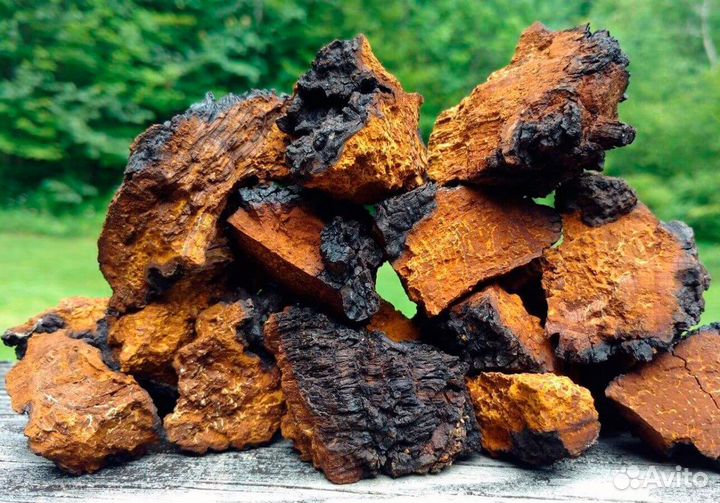 Чага берёзовая натуральная кусковая