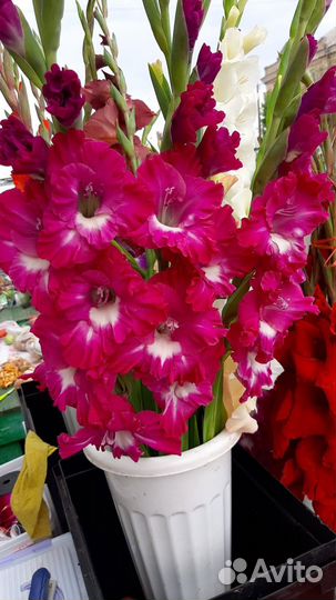 Цветы срезка Букеты Лилии Розы