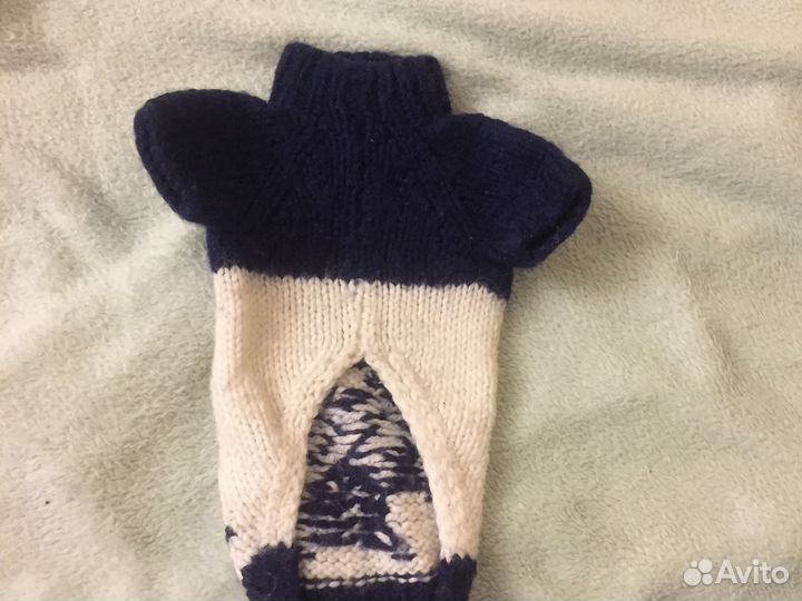 Одежда для собак домашняя