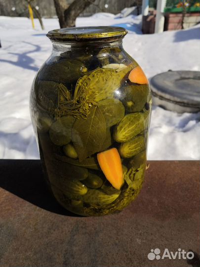 Огурцы соленые