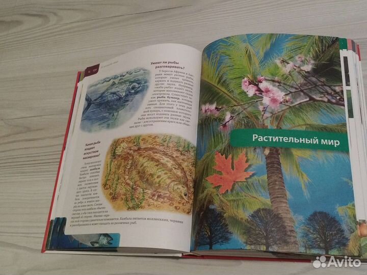 Энциклопедия школьника