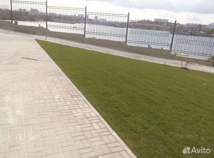 Рулонный газон