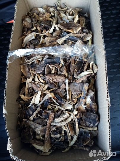 Грибы сушеные