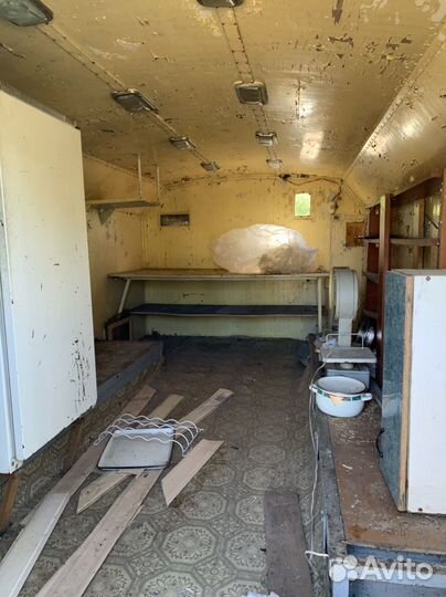 Кунг армейский