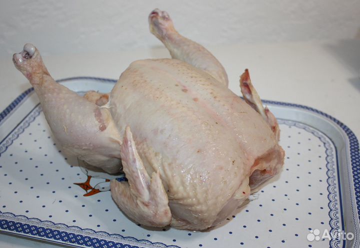 Мясо домашнего бройлера
