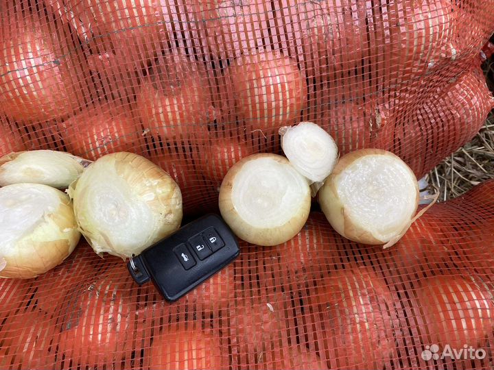 Лук на перо каратал из севка