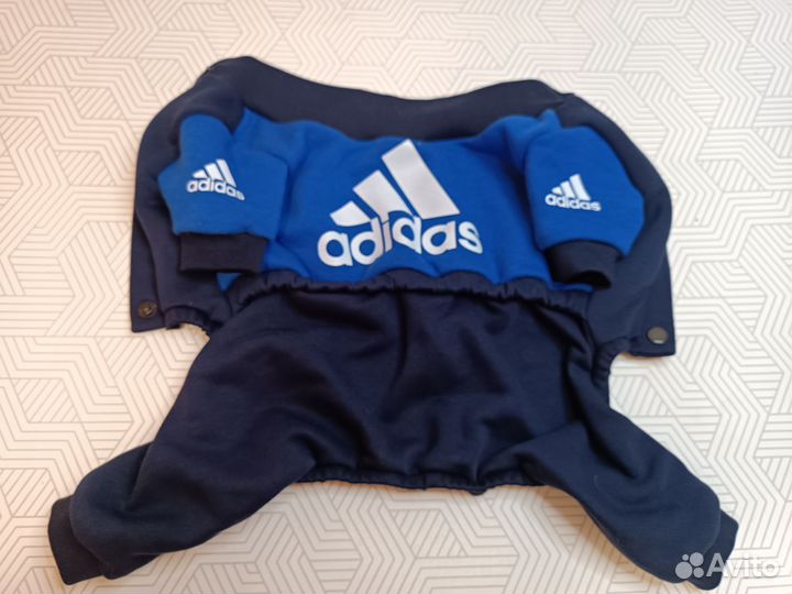 Одежда для собак