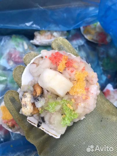 Гребешок курильский