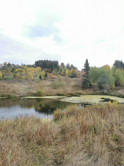 Участок 6 сот. (СНТ, ДНП)