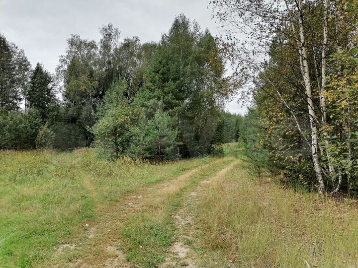 Участок 12,03 га (СНТ, ДНП)