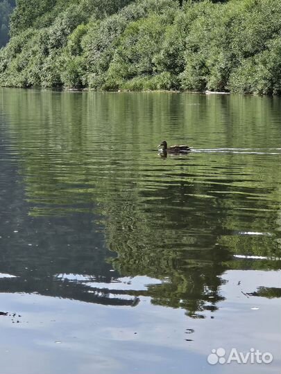 Сплав Вишера, Сылва, Усьва, Чусовая