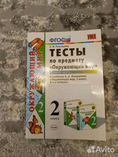 Рабочая тетрадь по окружающему миру 2 класс