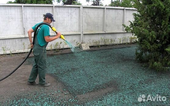 Посев газона