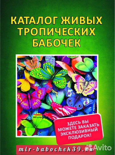 Ферма бабочек