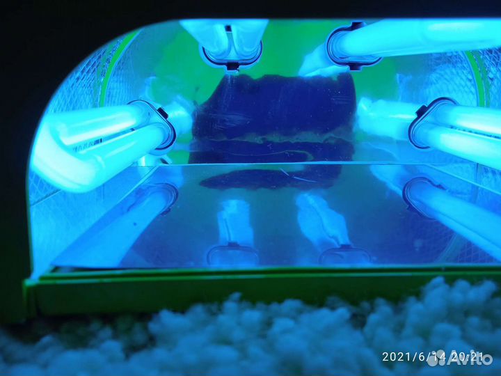 Лампа для маникюра