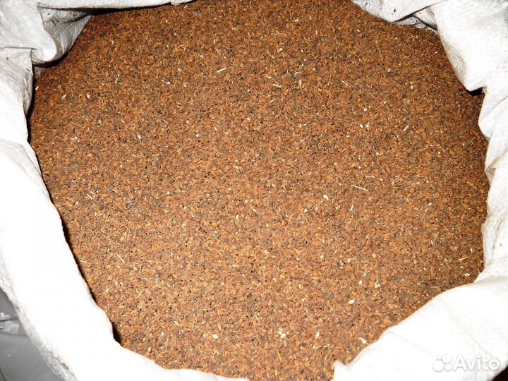 Семена фацелии