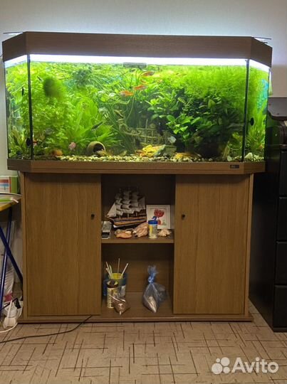 Аквариум juwel 220