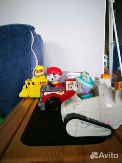 Крепыш Маршал Эверест