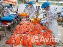 Разнорабочие Работа Вахтой Орловская обл. Хомутово