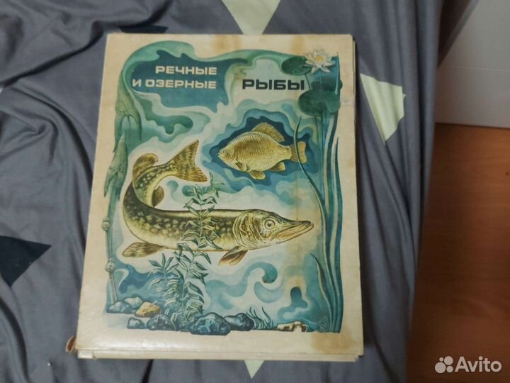 Сувенирные спички СССР