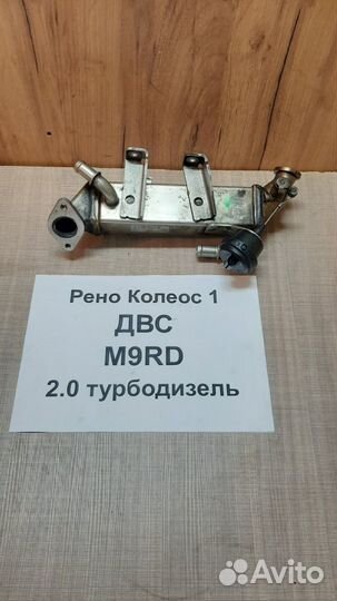 Радиатор системы охл. 2.0 турбод. Renault Koleos 1