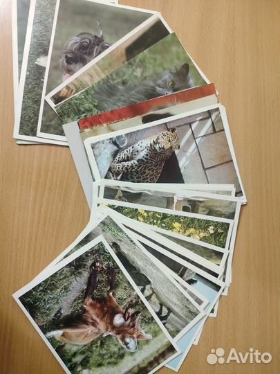 Открытки времен СССР