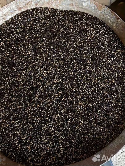 Амарант чёрный