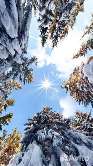 Развлектельные игрушки