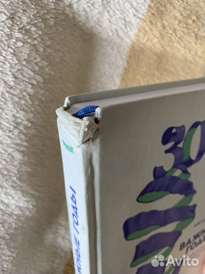 Важные годы мэг джей