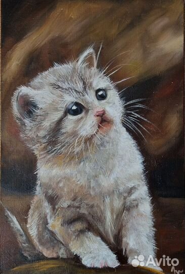 Кошка картина маслом на холсте