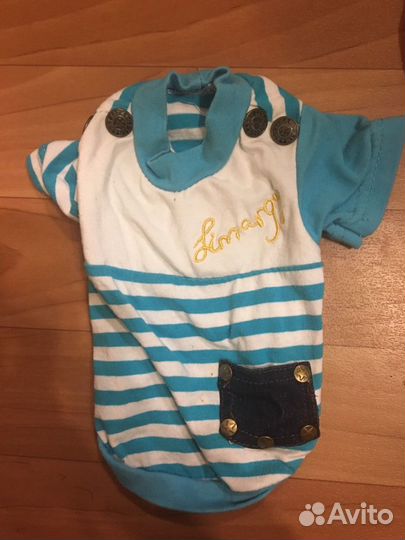 Одежда для маленьких собачек