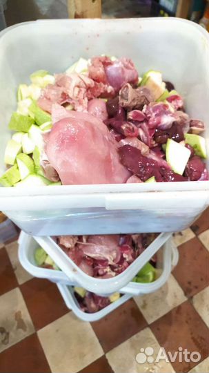 Корм натуральный эко зож для кошек и котят