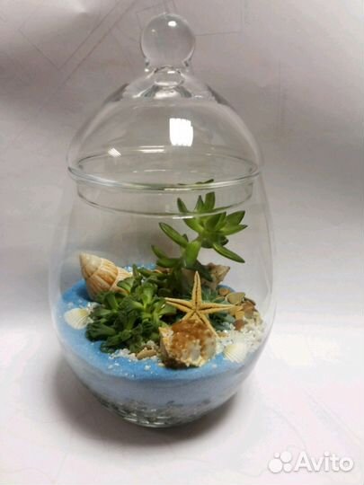 Флорариумы в морском стиле