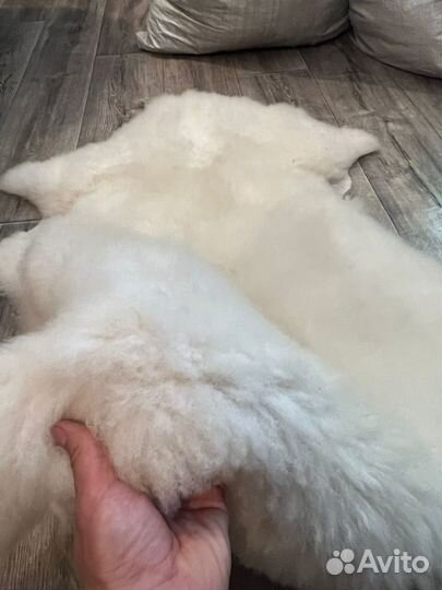 Шкура из овчины