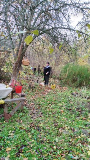 Участок 7,8 сот. (СНТ, ДНП)