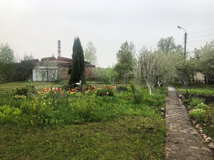 Торговая площадь, 1250 м²