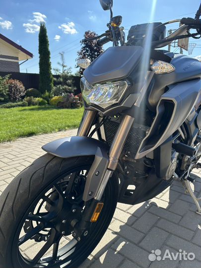 Regulmoto Alien monster 300